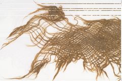 Foto von Textil (NHMW-PRAE-126324)